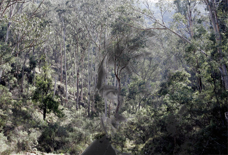 John Kinsella in the Australian outback.